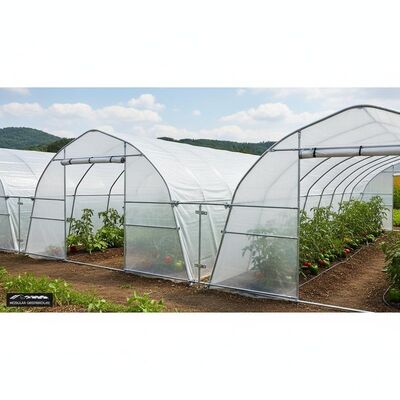 Customizable Width Greenhouse Tunnels With Waterproof PE Cover And Durable Galvanized Steel Frame