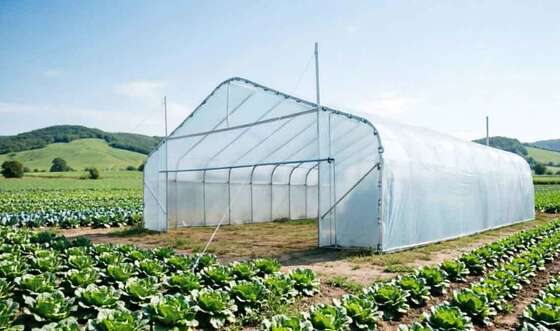 Factory Price  Find similar icon   certified High Tunnel Single-Span Agricultural Greenhouse Heavy Duty Hot Galvanized Steel Frame PE Cover